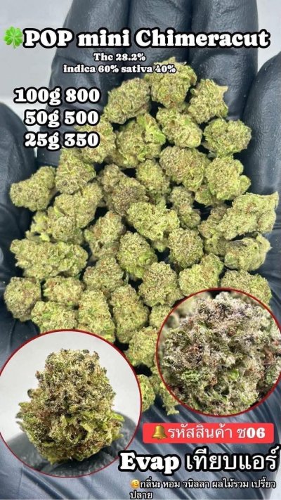 อีแวปสาขาปากน้ำขายดี ถูก