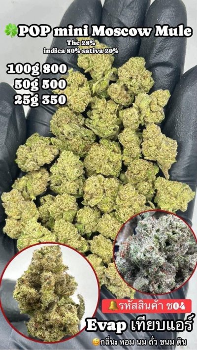 อีแวปสาขาปากน้ำขายดี ถูก