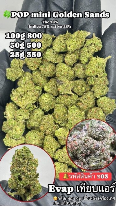 อีแวปสาขาปากน้ำขายดี ถูก