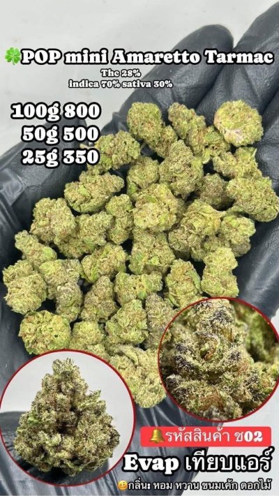 อีแวปสาขาปากน้ำขายดี ถูก