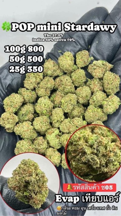 อีแวปสาขาปากน้ำขายดี ถูก