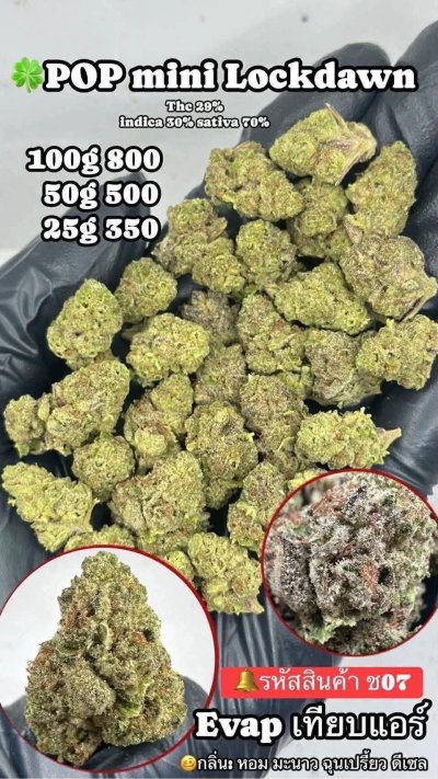 อีแวปสาขาปากน้ำขายดี ถูก