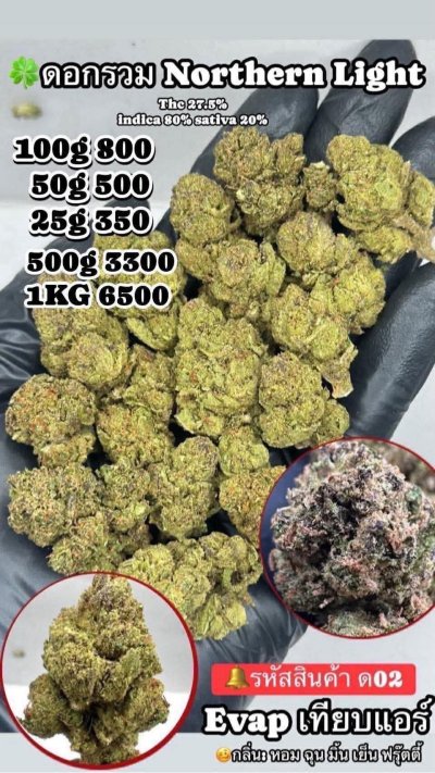 อีแวปสาขาปากน้ำขายดี ถูก