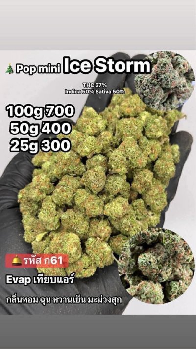 อีแวปสาขาปากน้ำขายดี ถูก