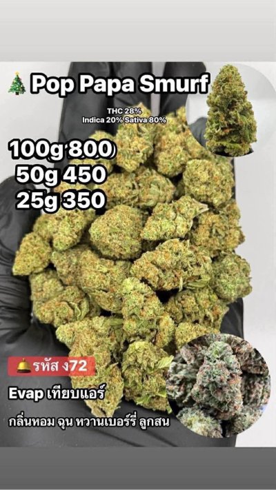 อีแวปสาขาปากน้ำขายดี ถูก