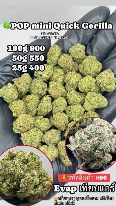 อีแวปสาขาปากน้ำขายดี ถูก