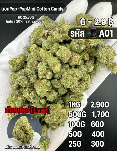 อีแวปราคาถูกชุด A แนะนำ