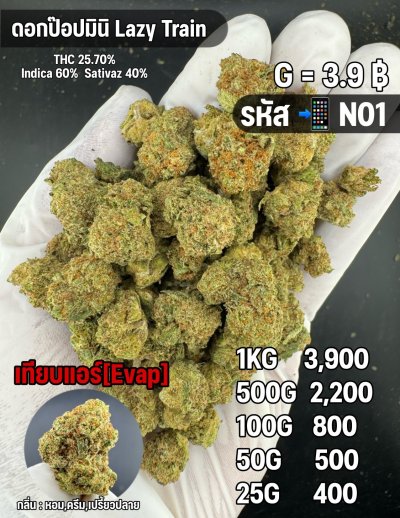 อีแวปสินค้าตัวใหม่ แนะนำ