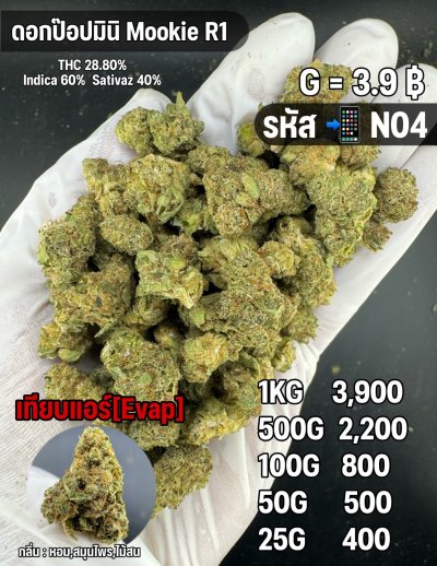 อีแวปสินค้าตัวใหม่ แนะนำ