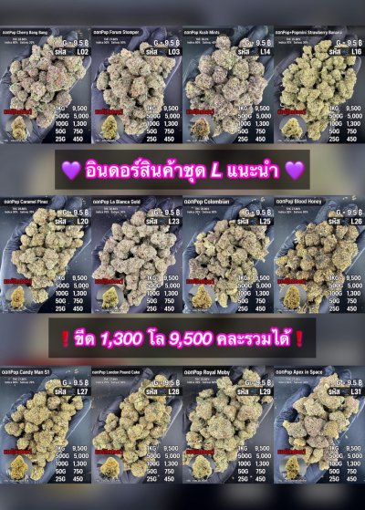อินดอร์ขายดีชุด L ชุด 1