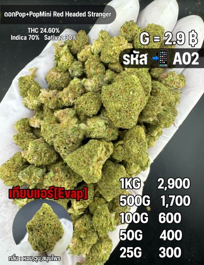 อีแวปราคาถูกชุด A แนะนำ