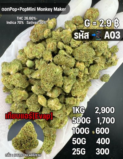 อีแวปราคาถูกชุด A แนะนำ