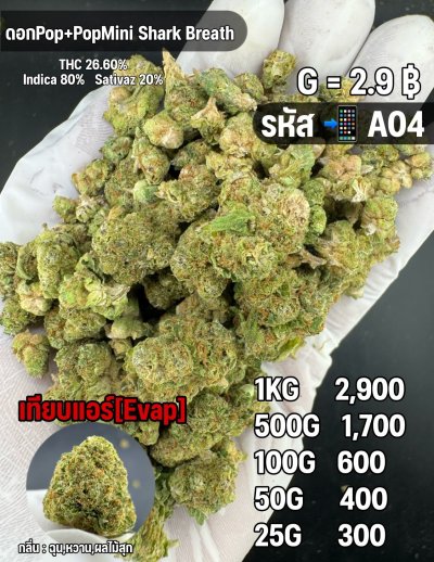 อีแวปราคาถูกชุด A แนะนำ