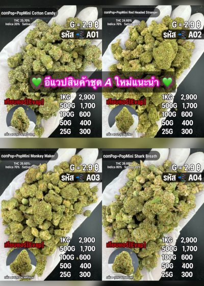 อีแวปราคาถูกชุด A แนะนำ