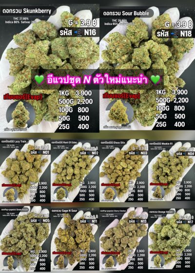 อีแวปสินค้าตัวใหม่ แนะนำ