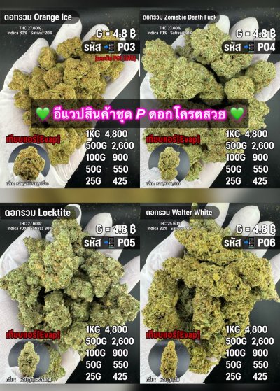 อีแวปสินค้าชุด P