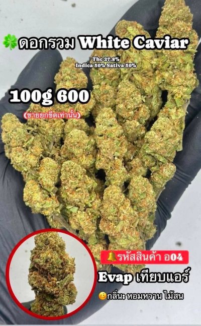 อีแวปสินค้าใหม่ แนะนำ