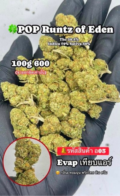อีแวปสินค้าใหม่ แนะนำ