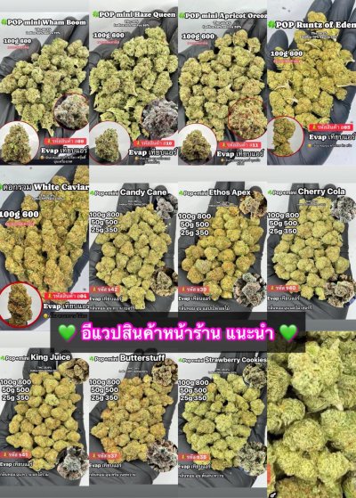 อีแวปสินค้าใหม่ แนะนำ