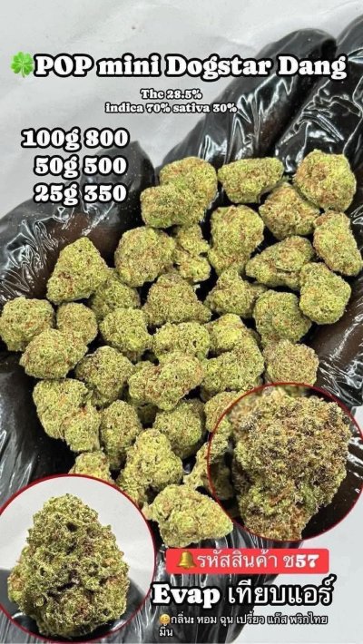 อีแวปสินค้าใหม่ หน้าร้าน
