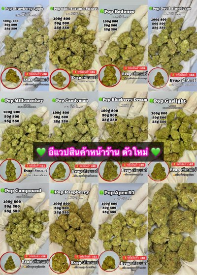 อีแวปสินค้าหน้าร้าน ตัวใหม่