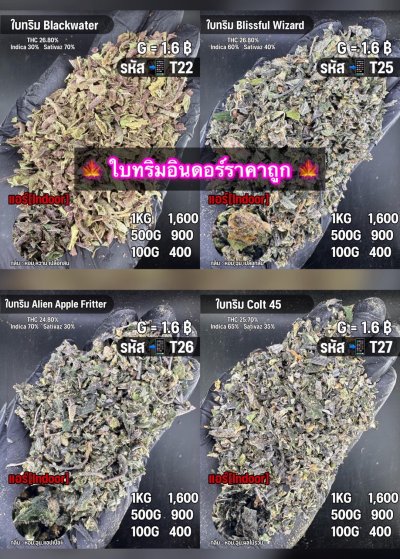 ใบทริมสินค้าชุด T