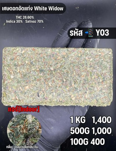 โอจีอัดแท่ง