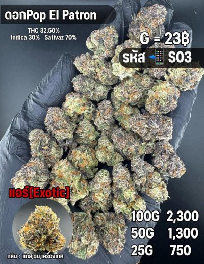 อินดอร์ชุด S