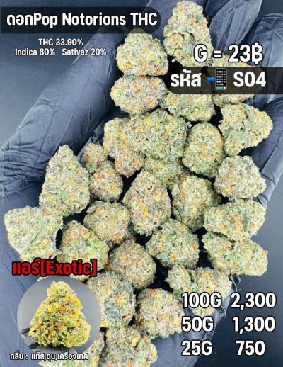 อินดอร์ชุด S