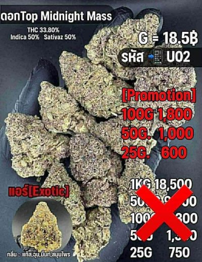 อินดอร์ชุด U