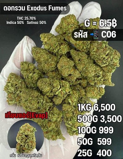 อีแวปสินค้าชุด C