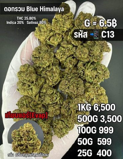 อีแวปสินค้าชุด C