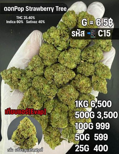 อีแวปสินค้าชุด C