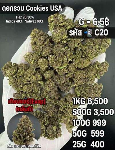 อีแวปสินค้าชุด C