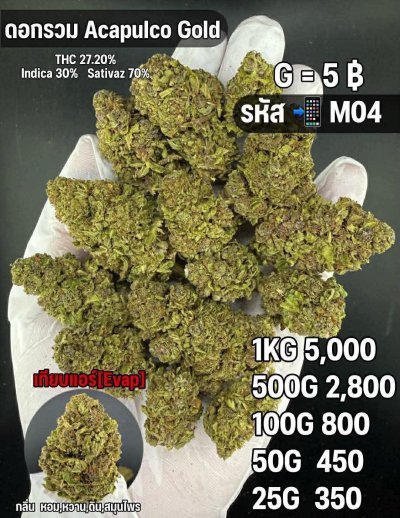 อีแวปสินค้าชุด F M