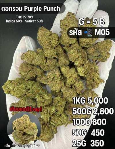 อีแวปสินค้าชุด F M