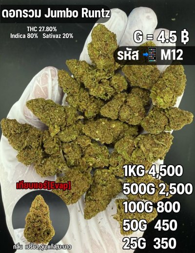 อีแวปสินค้าชุด F M