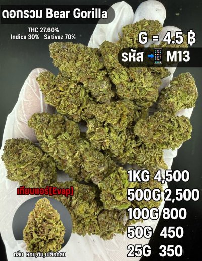 อีแวปสินค้าชุด F M