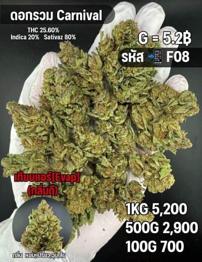 อีแวปสินค้าชุด F M