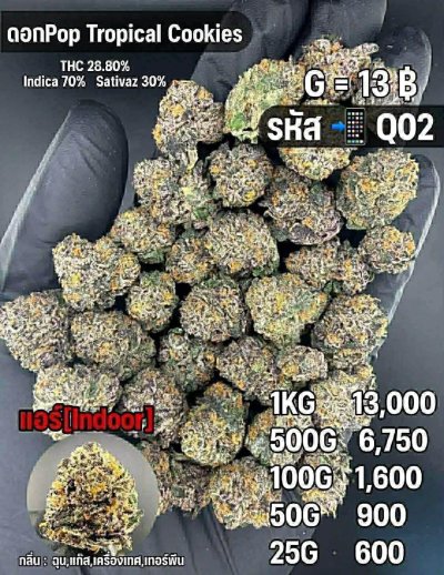 อินดอร์สาขาในเมือง