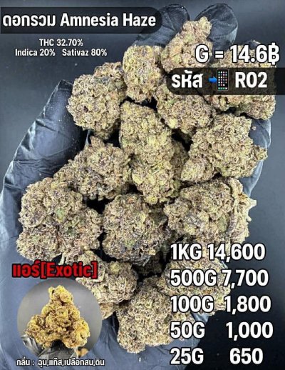 อินดอร์สาขาในเมือง