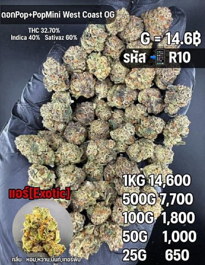 อินดอร์สาขาในเมือง