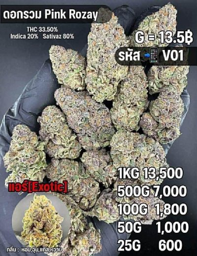 อินดอร์สาขาในเมือง