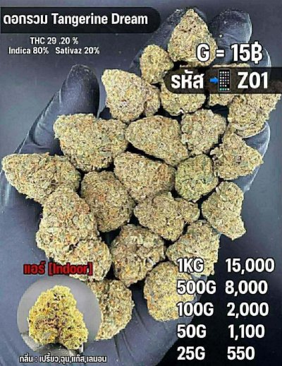 อินดอร์สาขาในเมือง