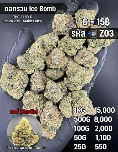 อินดอร์สาขาในเมือง