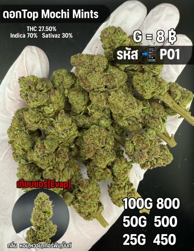 อีแวปสินค้าชุด P