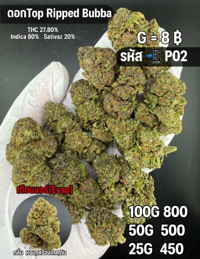 อีแวปสินค้าชุด P