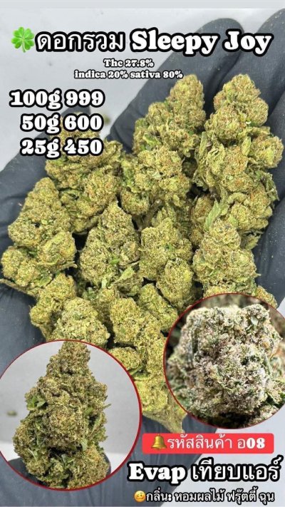 อีแวปสาขาปากน้ำชุดโปร