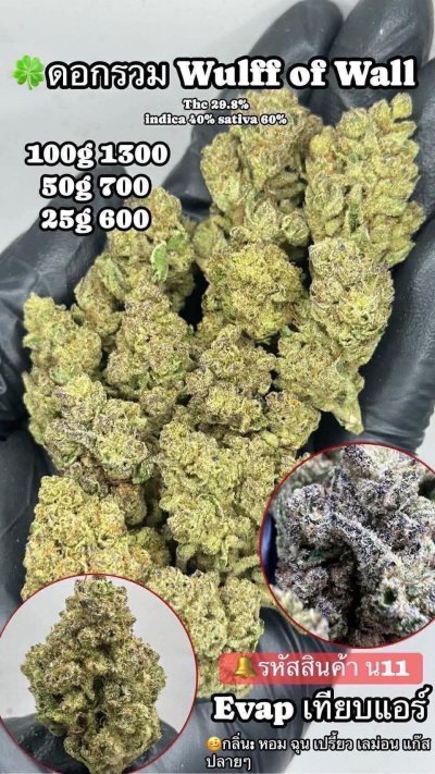 อีแวปสาขาปากน้ำชุดโปร