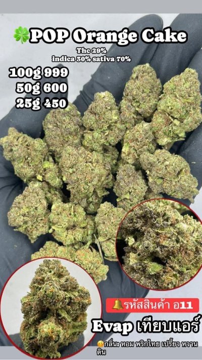 อีแวปสาขาปากน้ำชุดโปร